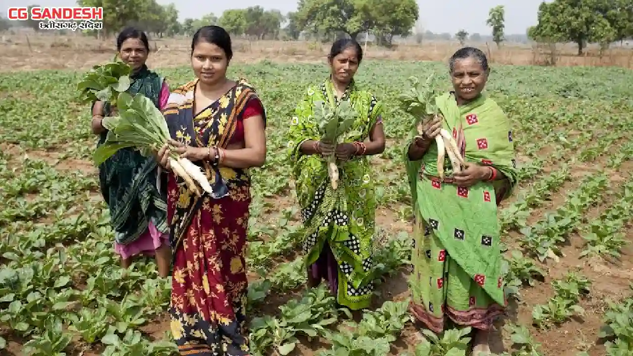 किसान दिवस पर वेदांता एल्युमीनियम ने 20,000 से अधिक किसानों ... - CG Sandesh
