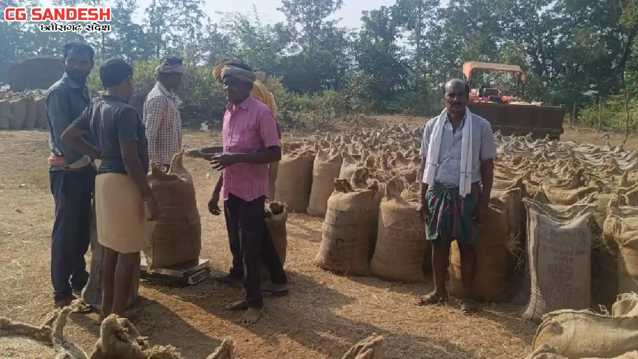 महासमुंद : झारमुड़ा धान उपार्जन केन्द्र में धान खरीदी सुचारू ... - CG Sandesh