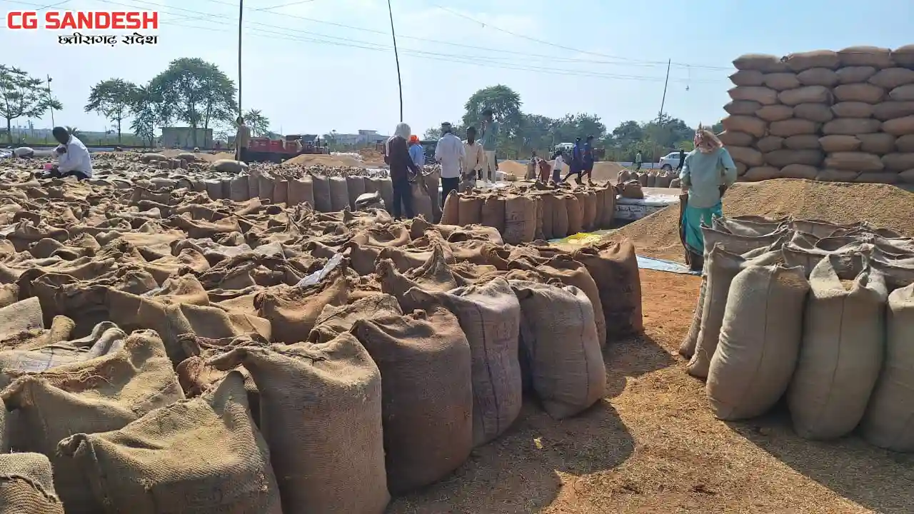 महासमुंद : जिले में अब तक कुल 313764 मीट्रिक टन धान की खरीदी - CG Sandesh