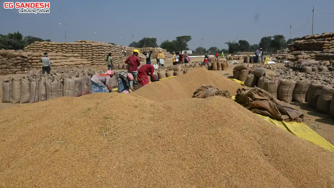 महासमुंद : जिले में 31 हजार से अधिक किसानों ने धान विक्रय कि... - CG Sandesh