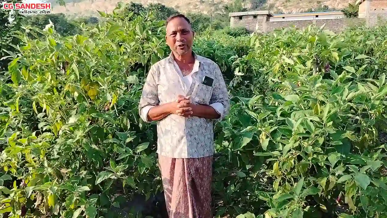 राष्ट्रीय बागवानी मिशन योजना ने दी नई दिशा, कम लागत में लाखो... - CG Sandesh