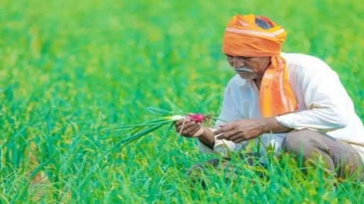 प्रधानमंत्री फसल बीमा योजना और पुनर्गठित मौसम आधारित फसल बीम... - CG Sandesh