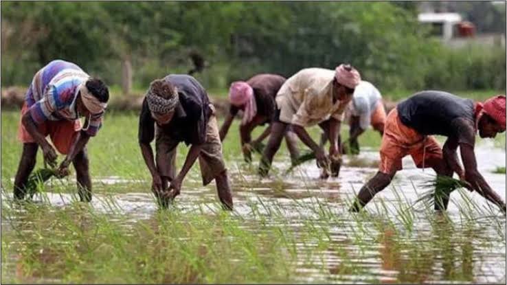 देश में भूमिहीन किसानों की संख्या 5.31 लाख, इन योजनाओं का मि... - CG Sandesh