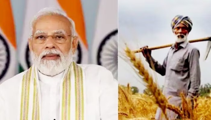 अगर आप के अकाउंट में नहीं आए पीएम किसान सम्मान निधि योजना की 19वीं किस्त के पैसे, तो करें ये काम