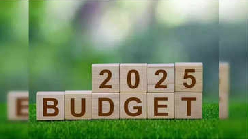 बजट 2025 : हरित विकास की दिशा में एक और कदम - CG Sandesh