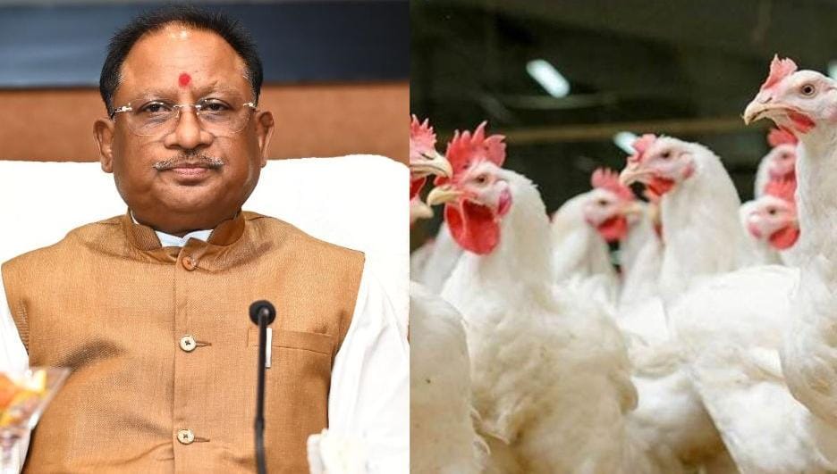 छत्तीसगढ़ में बर्ड फ्लू की पुष्टि, मुख्यमंत्री साय ने रोकथाम के लिए कलेक्टरों को दिए दिशा निर्देश, राज्य स्तरीय रेपिड रिस्पांस टीम गठित