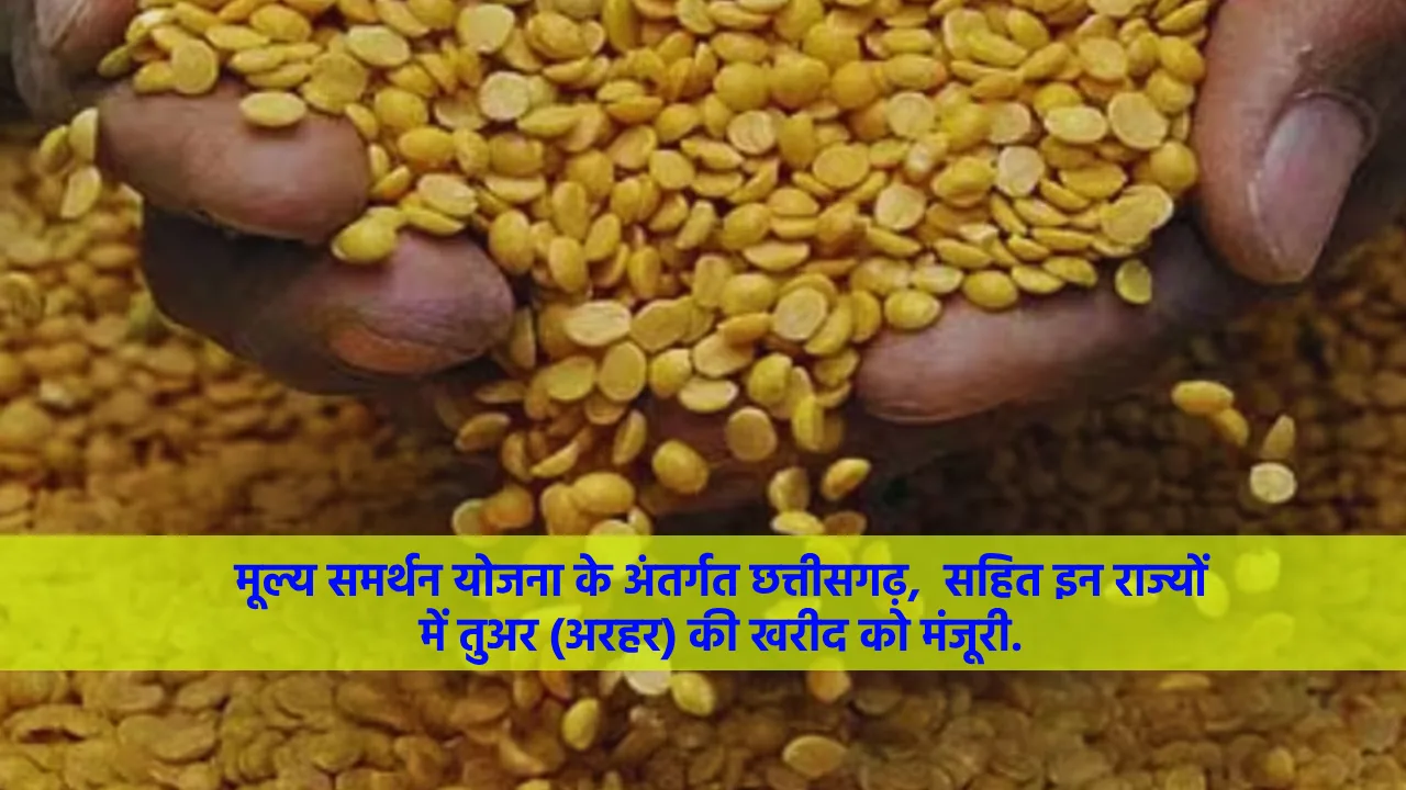 मूल्य समर्थन योजना के अंतर्गत छत्तीसगढ़,  सहित इन राज्यों मे... - CG Sandesh