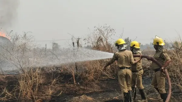 महासमुंद :  खेतों में में लगी आग, किसानों को नुकसान - CG Sandesh