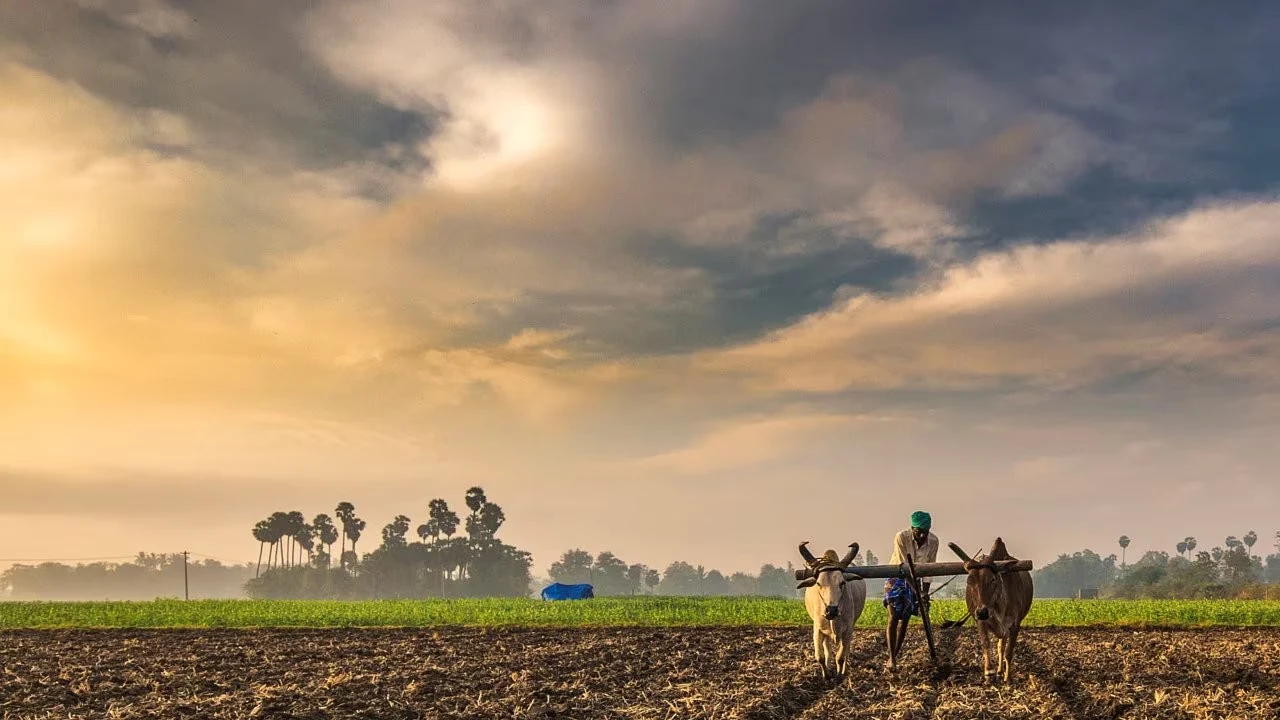 इन किसानों को PM Kisan योजना के पैसे करने होंगे वापस, 416 कर... - CG Sandesh