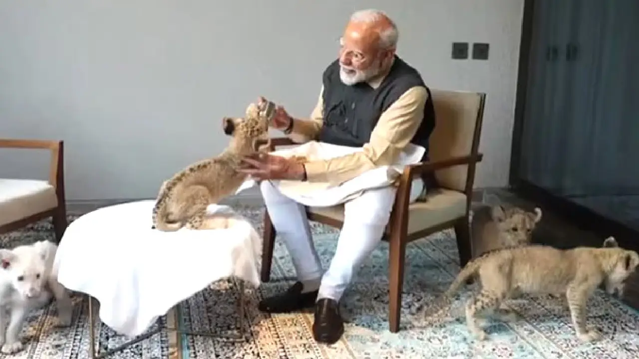 PM मोदी का जानवरों के प्रति प्रेम, वनतारा में शावकों को खिलाया खाना