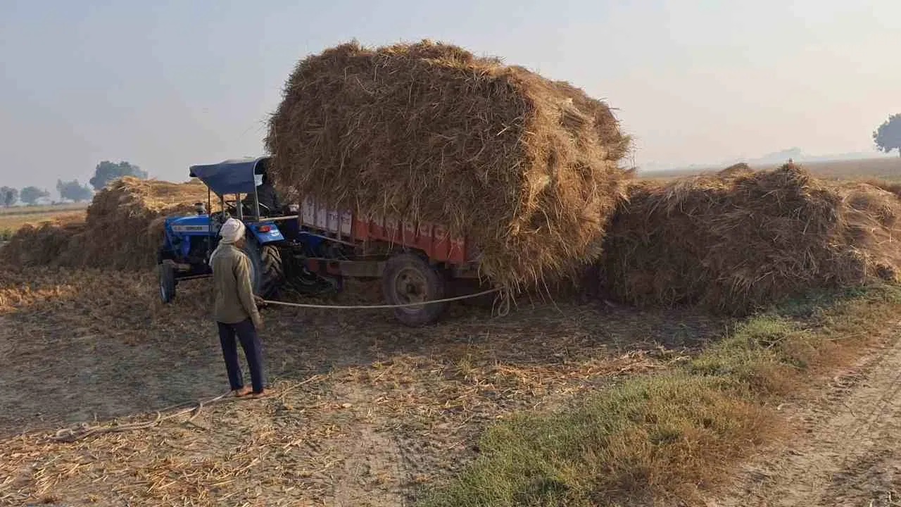 CG : पराली से बनेगा हरित ईंधन, छत्तीसगढ़ के विभिन्न जिलों में लगेंगे CBG प्लांट