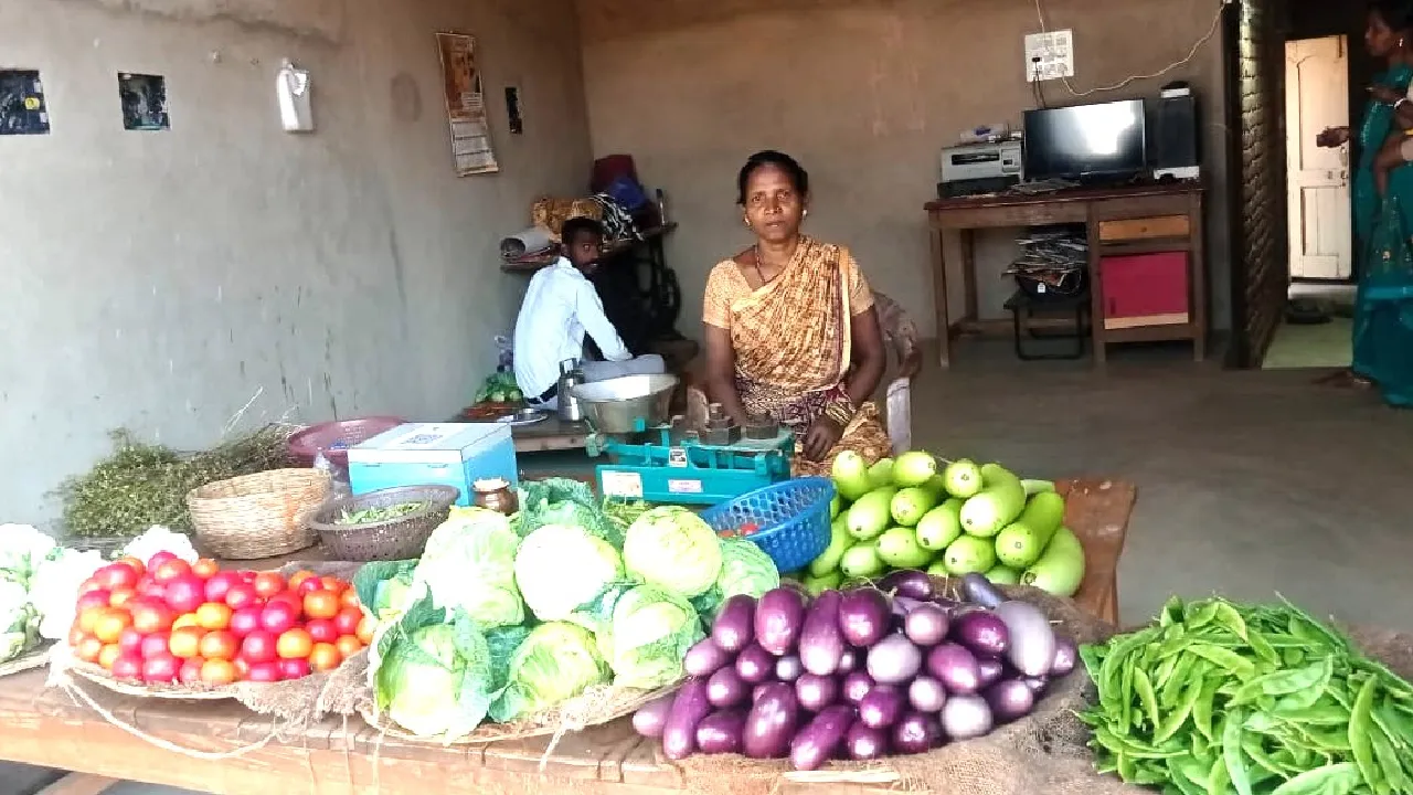 महासमुंद : आर्थिक तंगी से सशक्तिकरण की ओर बढ़ती महिलाएँ,  मीन... - CG Sandesh