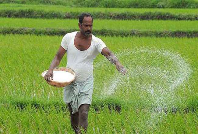 CG: किसानों के हित में बड़ा फैसला, पीएंडके उर्वरकों पर सब्सिडी दरों को केंद्रीय कैबिनेट की मंजूरी