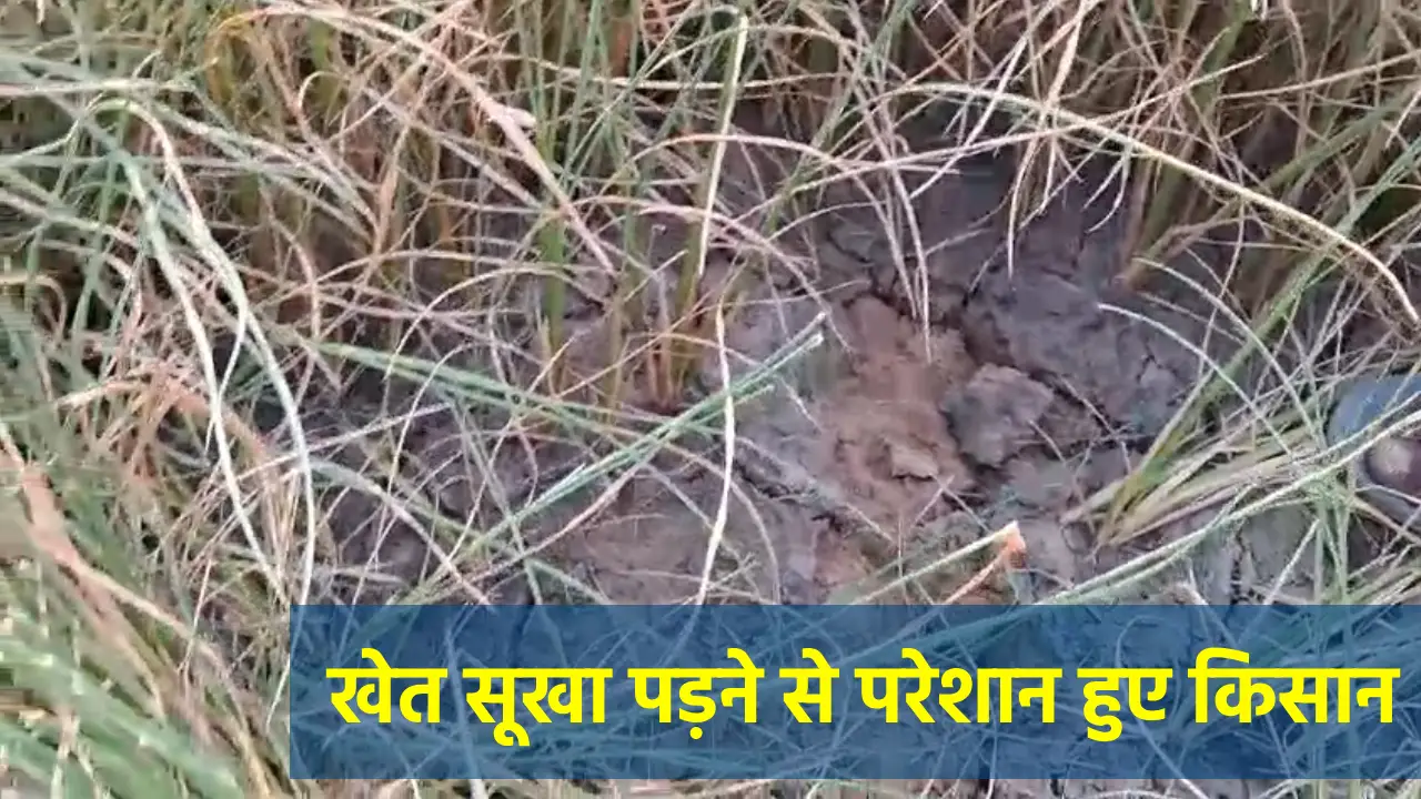 CG : पानी की किल्लत से जूझ रहे किसान, खेत सूखा पड़ने से हुए ... - CG Sandesh