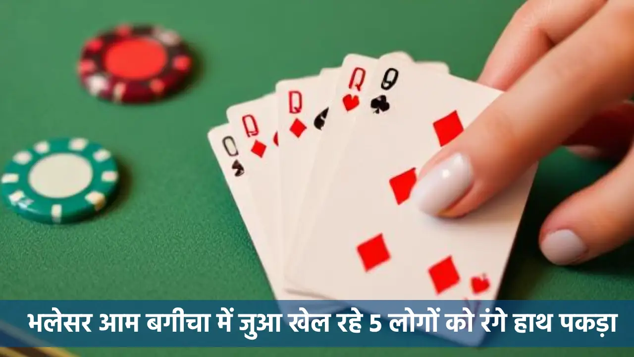 महासमुंद : भलेसर आम बगीचा में जुआ खेल रहे 5 लोगों को रंगे हा... - CG Sandesh