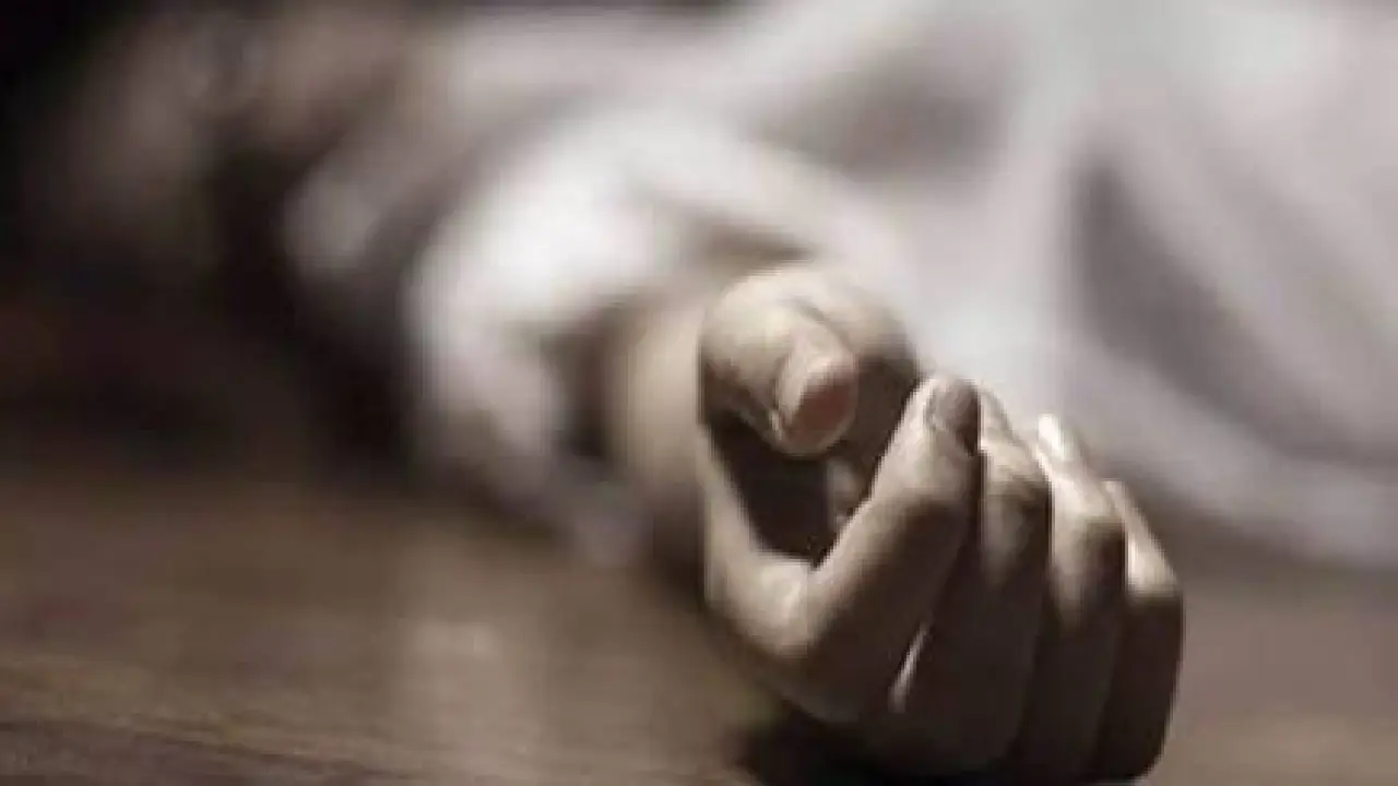 CG : कुत्ता खरीदने के लिए पैसे नहीं देने पर युवक ने की मां क... - CG Sandesh