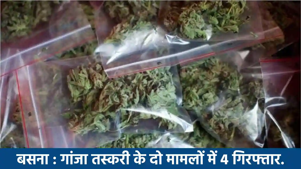 बसना : गांजा तस्करी के दो मामलों में 4 गिरफ्तार. - CG Sandesh