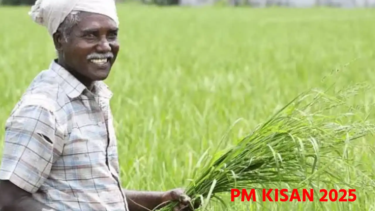 PM KISAN 2025 : जानें कब जारी होगी? पीएम किसान योजना 20वीं क... - CG Sandesh