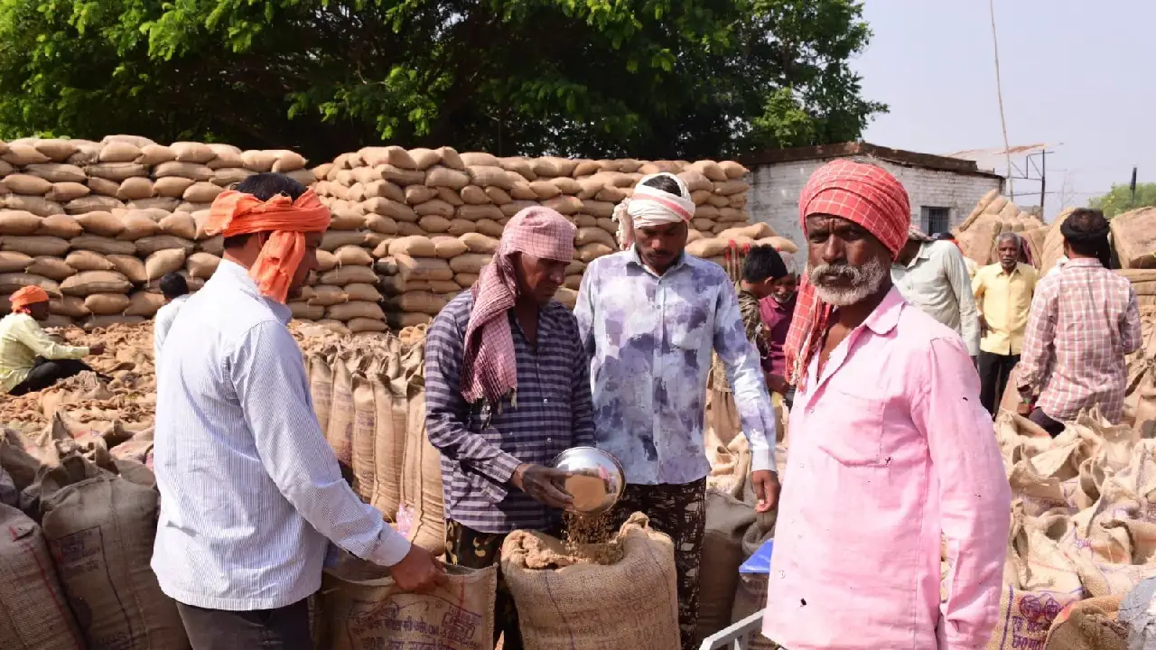 मार्कफेड द्वारा धान की ई-नीलामी शुरू, गाइ़डलाइन जारी - CG Sandesh