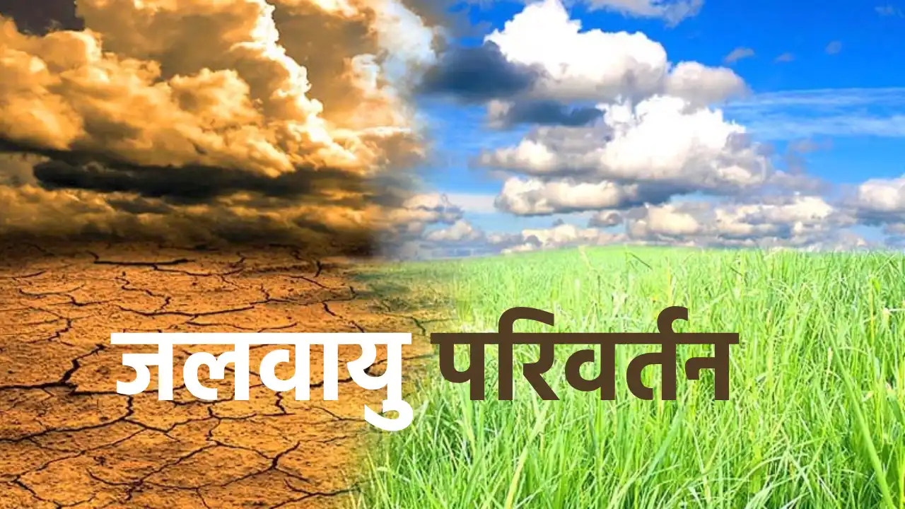 जलवायु परिवर्तन ने बदली उत्तराखंड की खेती की सूरत,  27% कम ह... - CG Sandesh