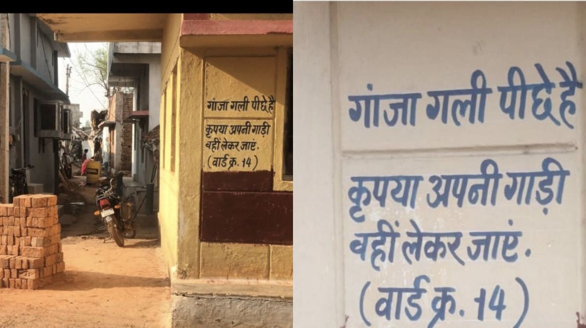 CG : इस तरफ मिलता है गांजा’, प्रशासन बेखबर, युवा पीढ़ी खतरे में