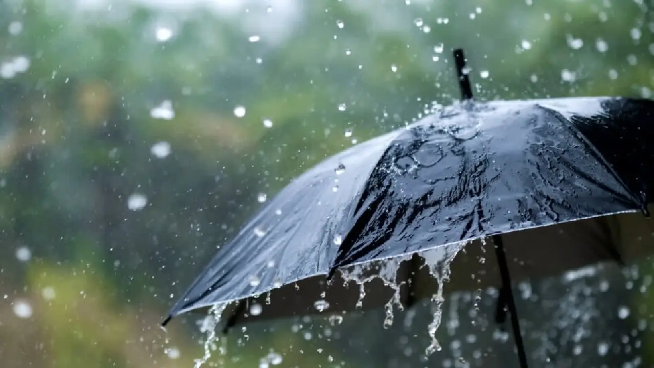 आया मौसम झूम के.... समय से पहले केरल पहुंचा मानसून, भीषण गर्मी से मिलेगी राहत. 