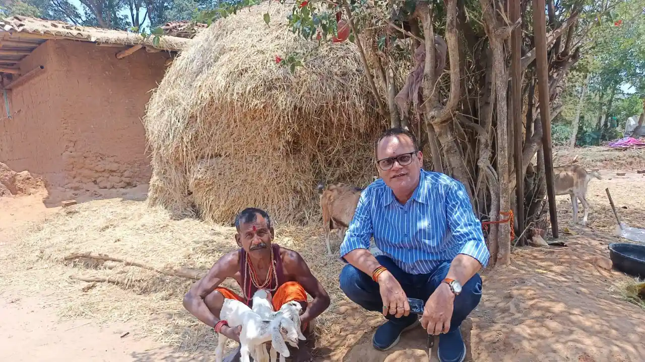 कृत्रिम गर्भाधान से अफ्रीकन बोयर बकरा-बकरी आएंगे नजर, वजन 80... - CG Sandesh