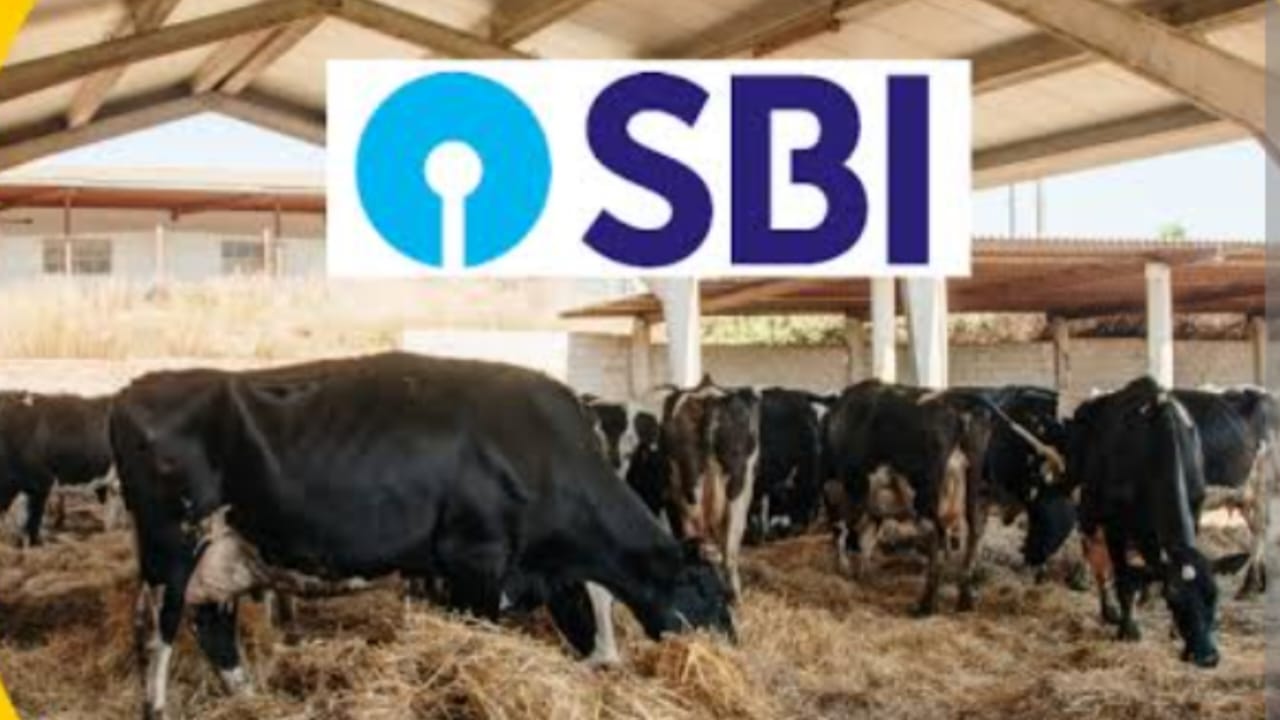 SBI पशुपालन लोन योजना 2025 : 10 लाख तक लोन, 50% सब्सिडी, कैस... - CG Sandesh