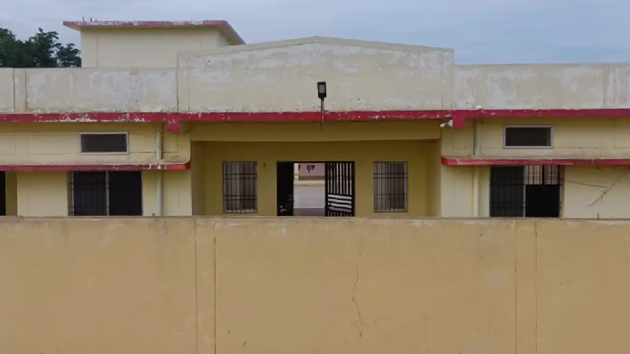 महासमुंद : जिले के सुदूरवर्ती वनांचल में हाइड्रोपोनिक खेती स... - CG Sandesh