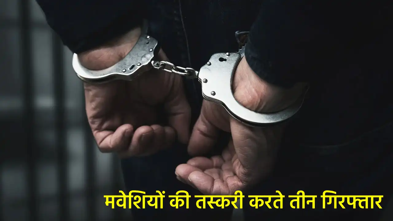 बागबाहरा : रेकी कर मवेशियों की तस्करी, तीन गिरफ्तार - CG Sandesh