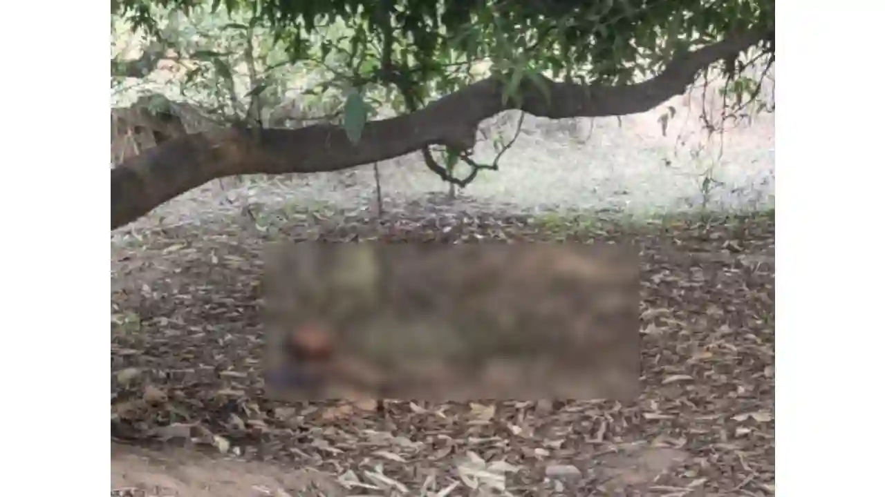 CG : तालाब के पास मिलि पति-पत्नी की लाश, जांच में जुटी पुलिस - CG Sandesh