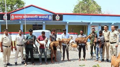 CG : बकरी चोर गैंग का पर्दाफाश, गांव से चुराकर मटन दुकान में... - CG Sandesh