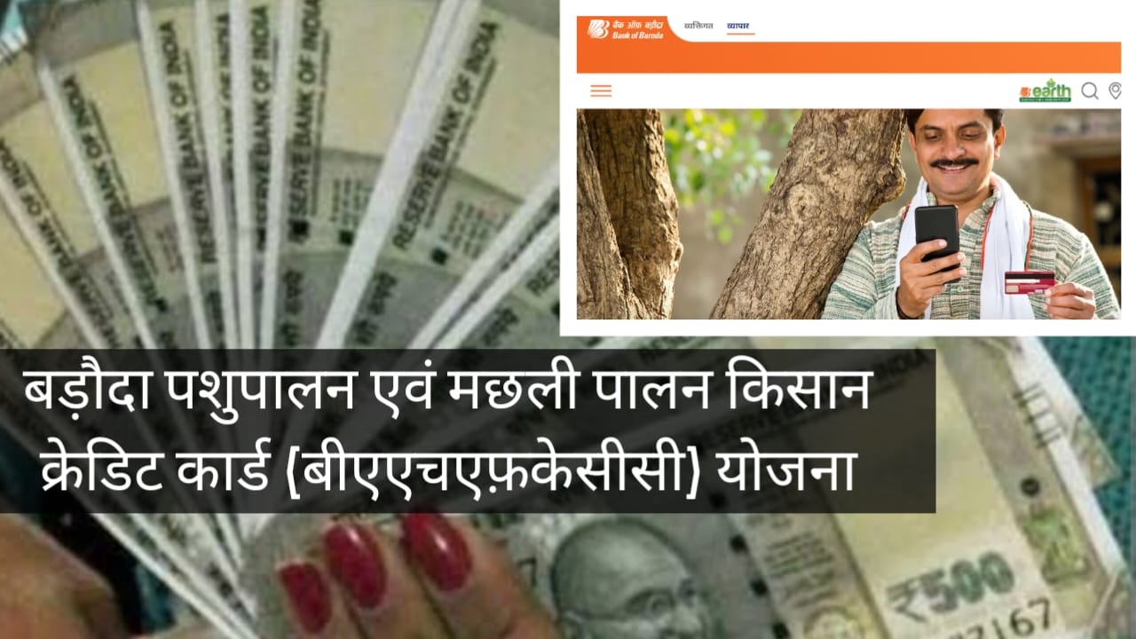 बड़ौदा पशुपालन एवं मछली पालन किसान क्रेडिट कार्ड योजना : मिल... - CG Sandesh