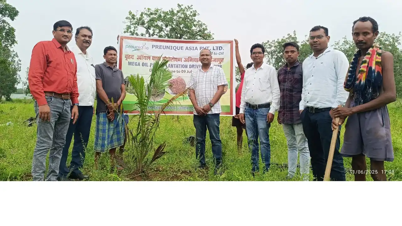 CG : कम मेहनत, कम लागत, बंपर मुनाफा: पाम ऑयल खेती से बदलें क... - CG Sandesh