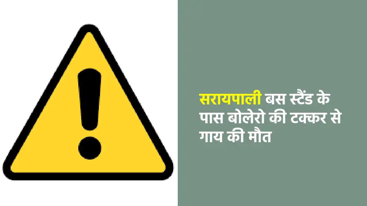 सरायपाली बस स्टैंड के पास बोलेरो की टक्कर से गाय की मौत - CG Sandesh