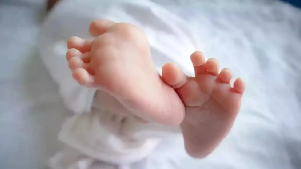 CG : तालाब में तैरती मिली नवजात बच्चे की लाश - CG Sandesh