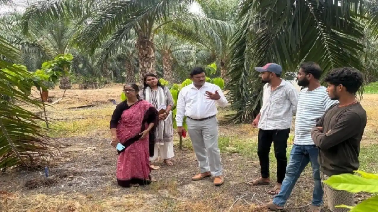 महासमुंद : कृषि उत्पादन आयुक्त शहला निगार द्वारा बागबाहरा मे... - CG Sandesh