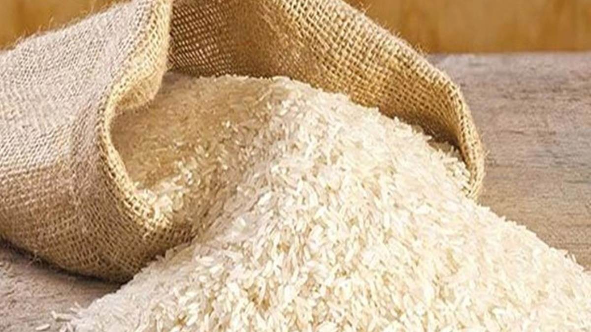 छत्तीसगढ़ के चावल से होगा अब कैंसर का इलाज - CG Sandesh