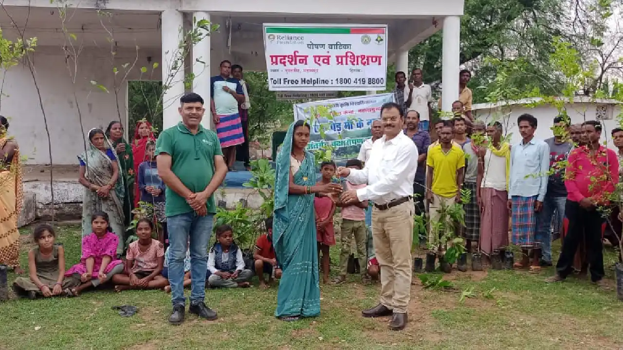 महासमुंद : विश्व पर्यावरण दिवस 2025 : ग्राम गुडरूडीह में पौध... - CG Sandesh