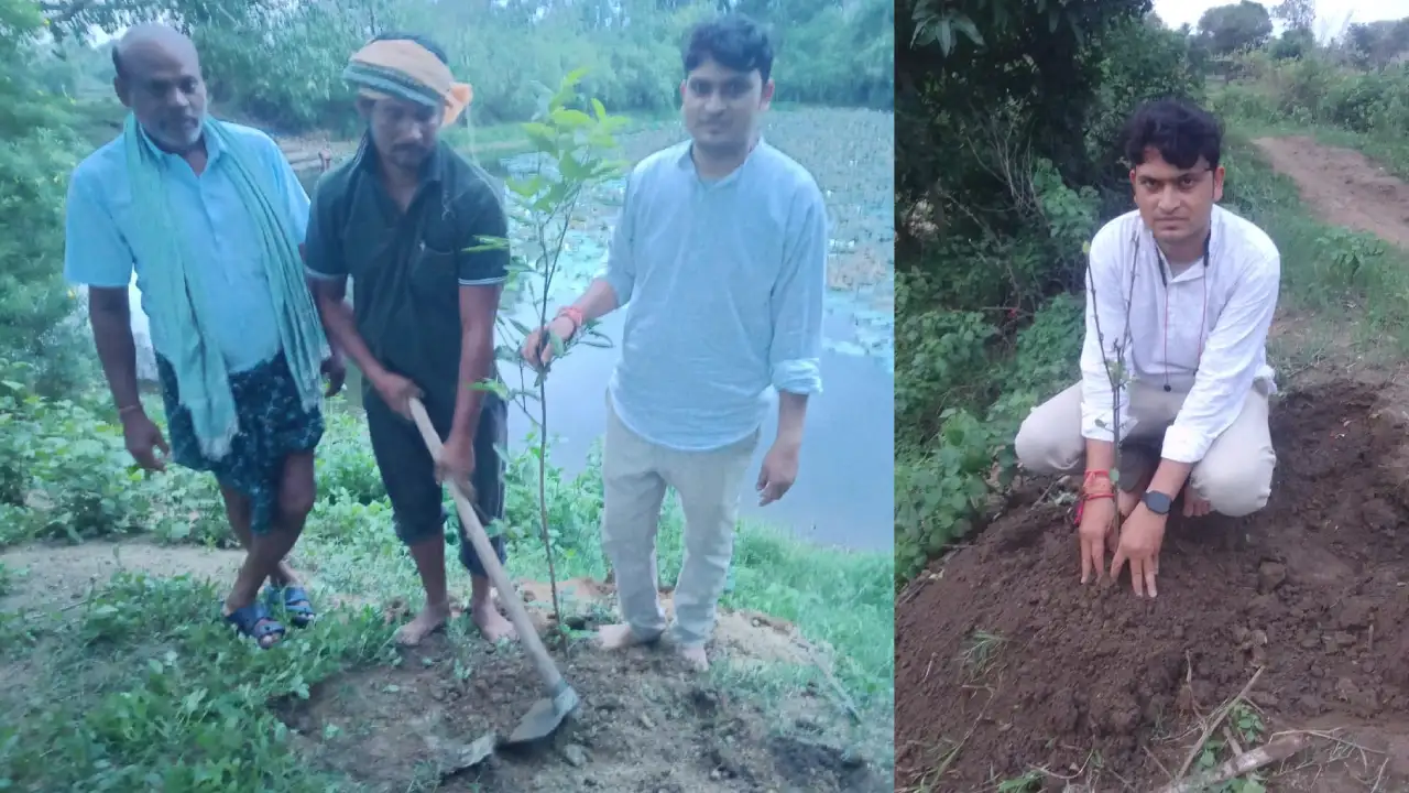 महासमुंद : "एक पेड़ मां के नाम" अभियान के तहत ग्राम मोहगांव ... - CG Sandesh