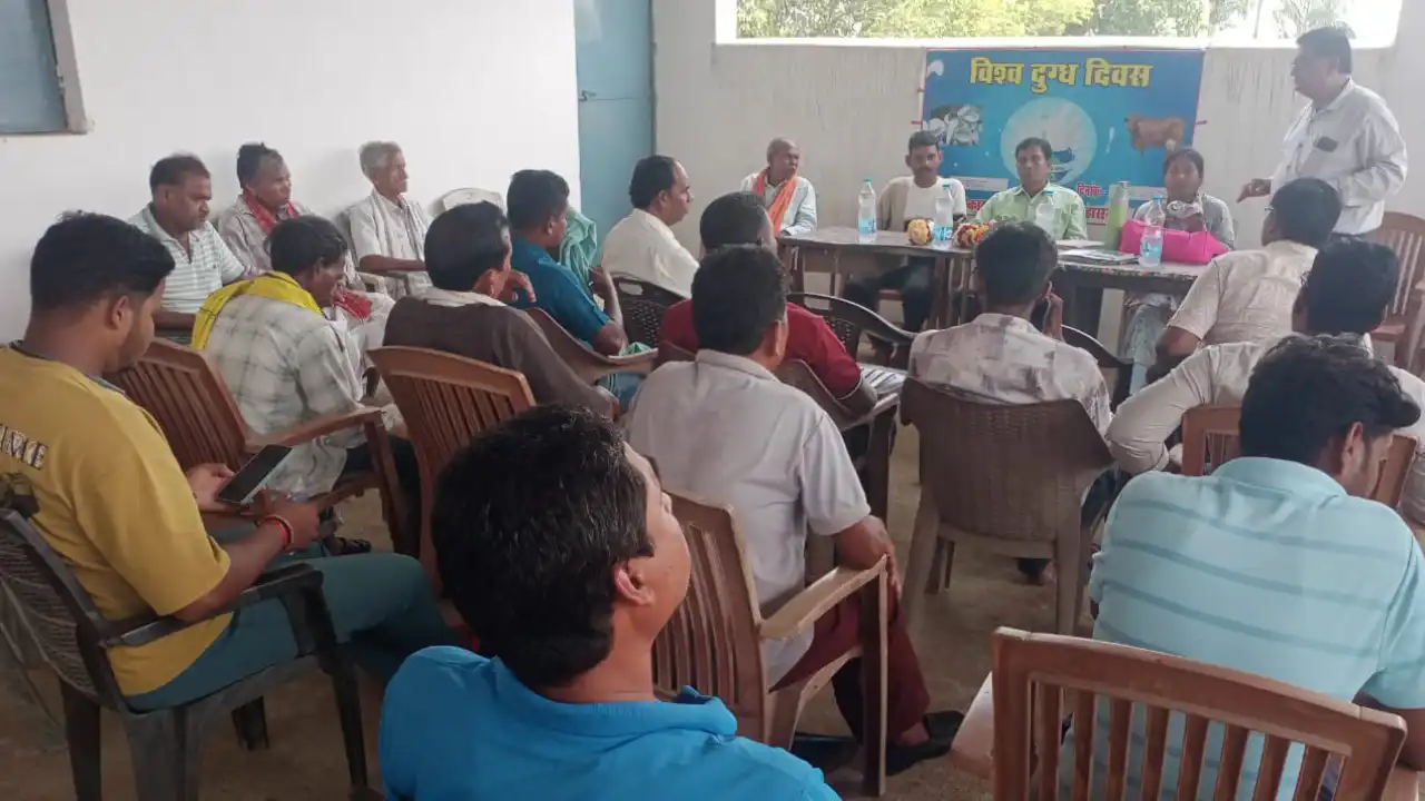 महासमुंद के छिल पावन में विश्व दुग्ध दिवस का आयोजन - CG Sandesh