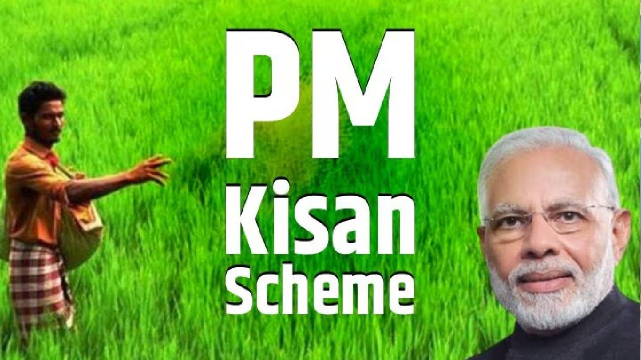 पीएम किसान योजना की 20वीं क़िस्त इस दिन तक हो सकती है जारी - CG Sandesh