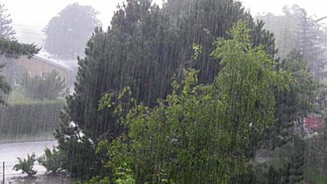 महासमुंद : जिले में अब तक 439.9 मिमी औसत वर्षा, सर्वाधिक वर्... - CG Sandesh