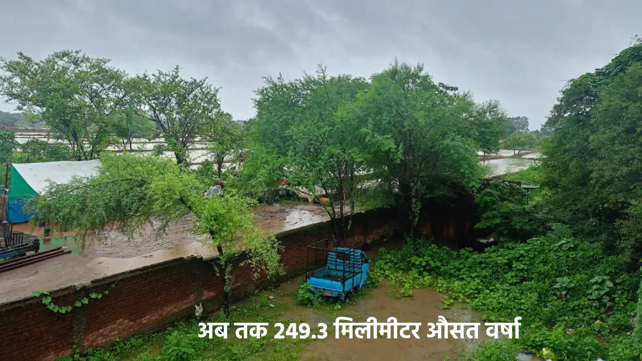 महासमुंद : जाने आपके क्षेत्र में  कितनी हुई वर्षा - CG Sandesh