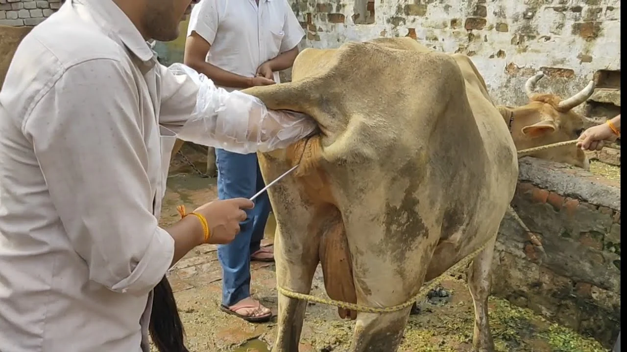 CG:  बहुउद्देश्यीय एआई तकनीशियन प्रशिक्षण हेतु 15 जुलाई तक आ... - CG Sandesh