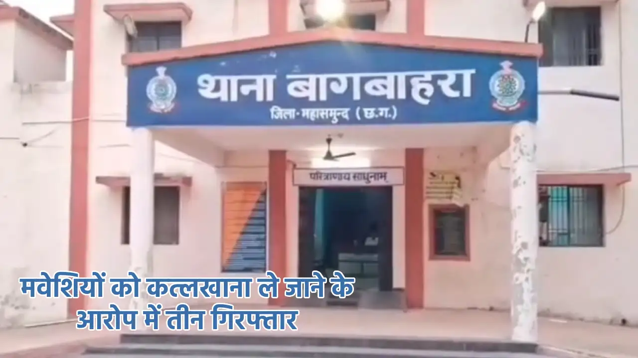 बागबाहरा : मवेशियों को कत्लखाना ले जाने के आरोप में तीन गिरफ... - CG Sandesh