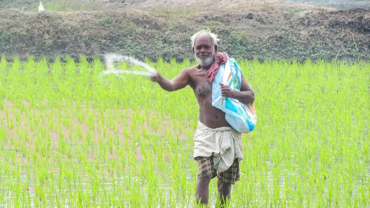  CG: प्रधानमंत्री फसल बीमा योजना अंतर्गत बीमा कराने की अंतिम... - CG Sandesh