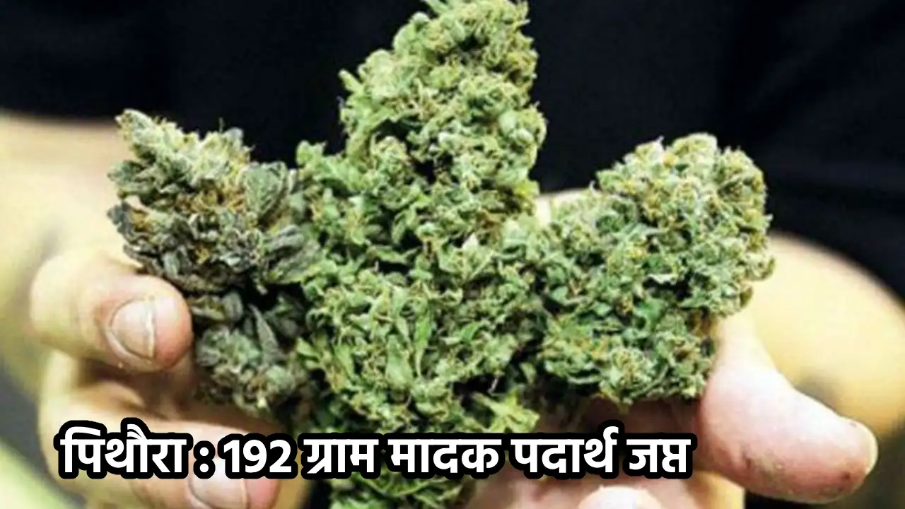 पिथौरा : 192 ग्राम मादक पदार्थ जप्त - CG Sandesh