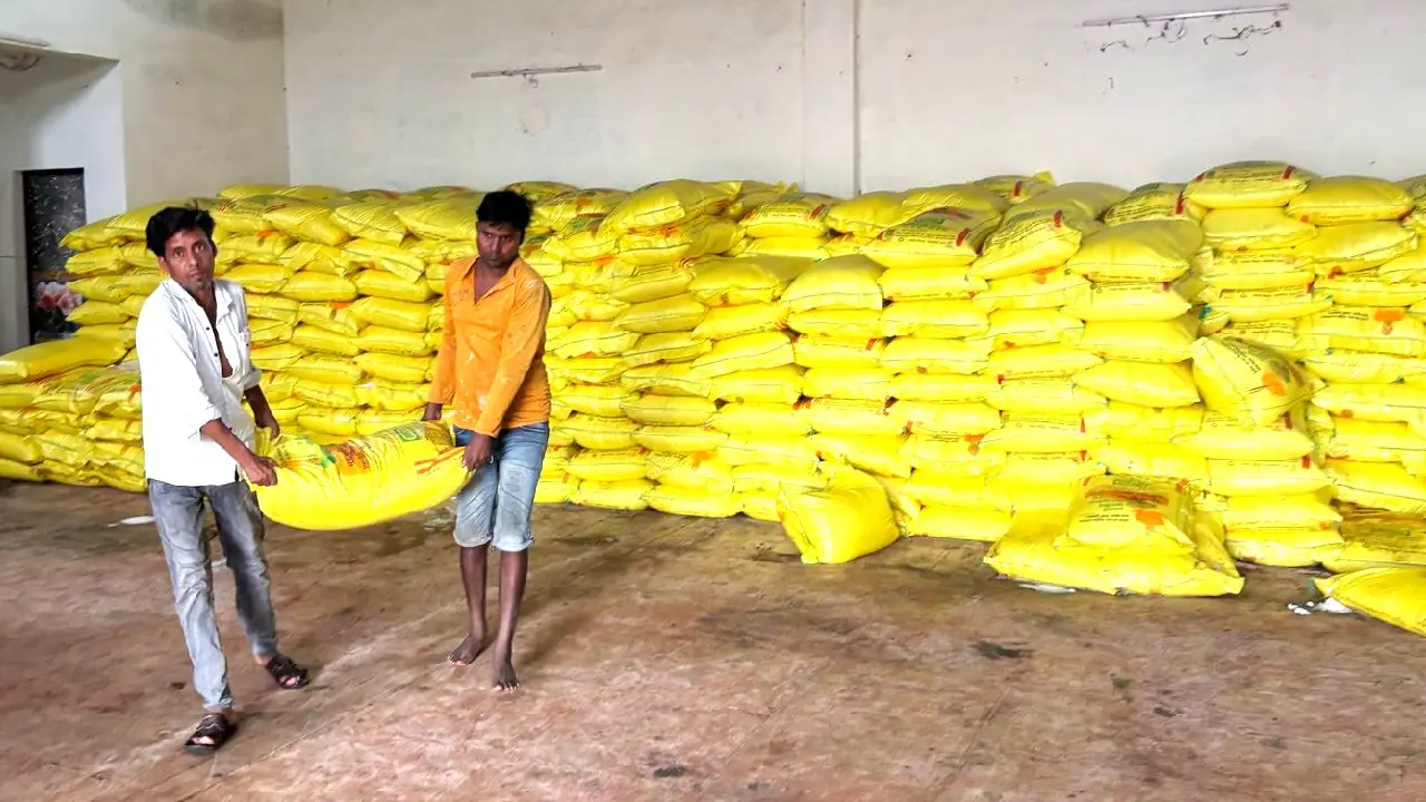 महासमुंद : सहकारी समिति बरोंडाबाज़ार में सुगम खाद वितरण व्यवस... - CG Sandesh