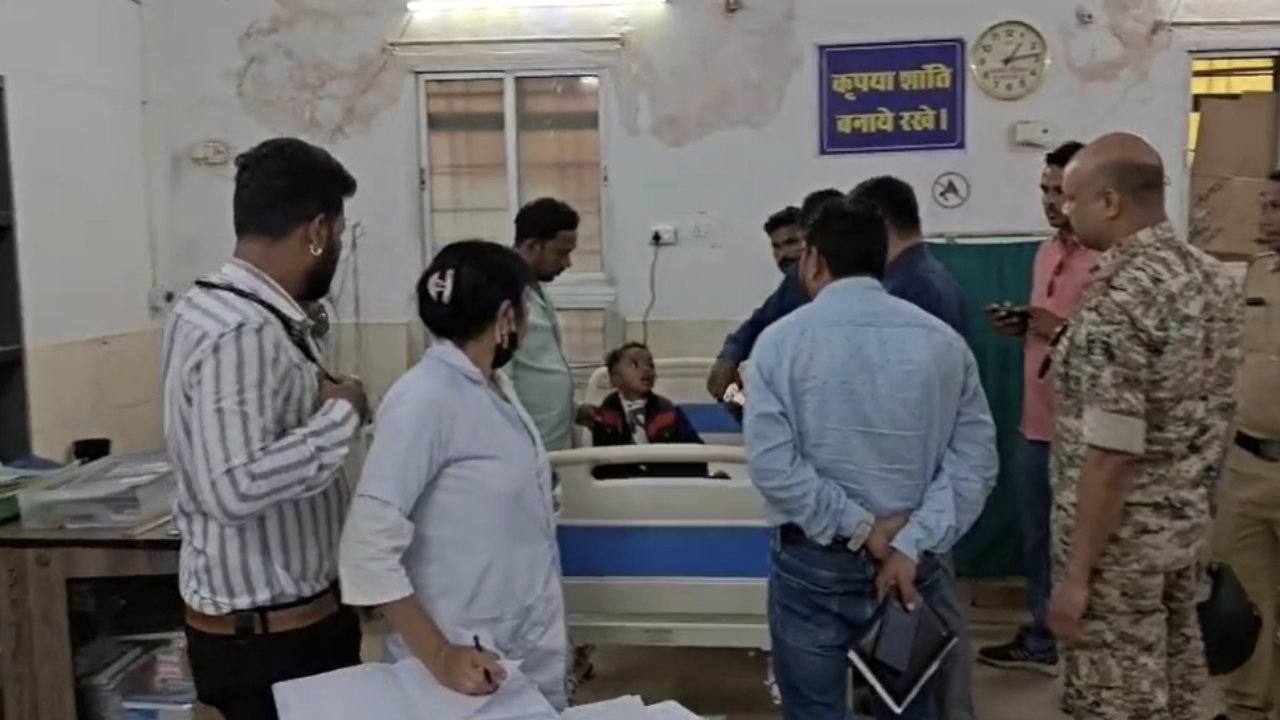 CG: आंगनबाड़ी जा रहे बच्चों पर मधुमक्खियों ने किया हमला, मची... - CG Sandesh